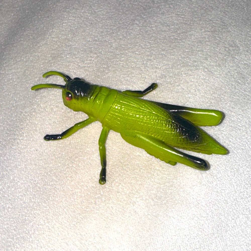 Green Grasshopper Bug Science Play Toy Cricket Kids Children’s Science Figurine